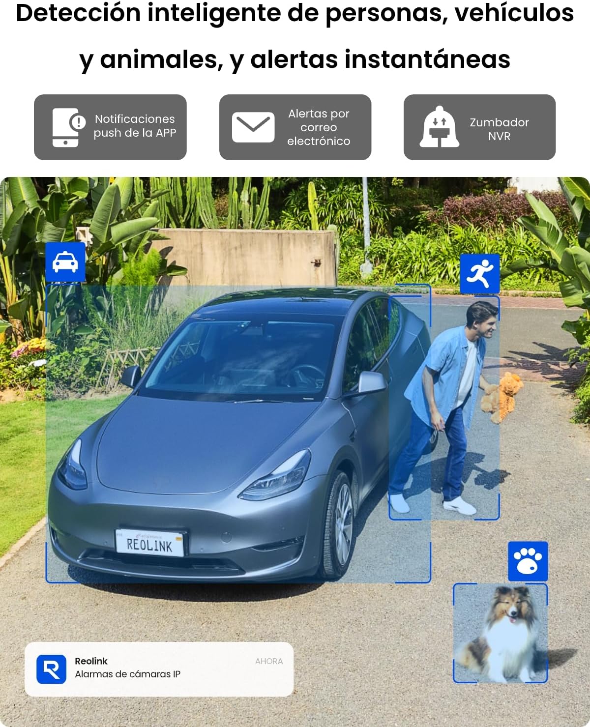 Kit Cámaras de Vigilancia PoE Reolink 8MP